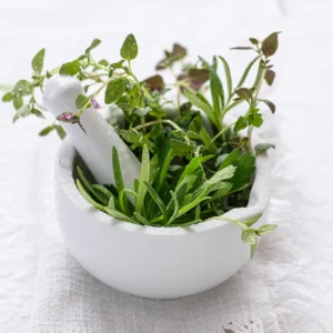 צמחי מרפא לשתייה - טיפול בשורש הבעיה